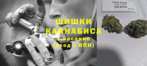 дурь Белокуриха