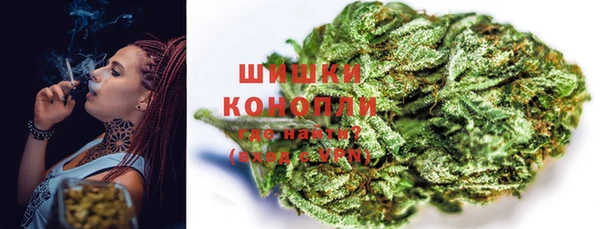 дурь Белокуриха